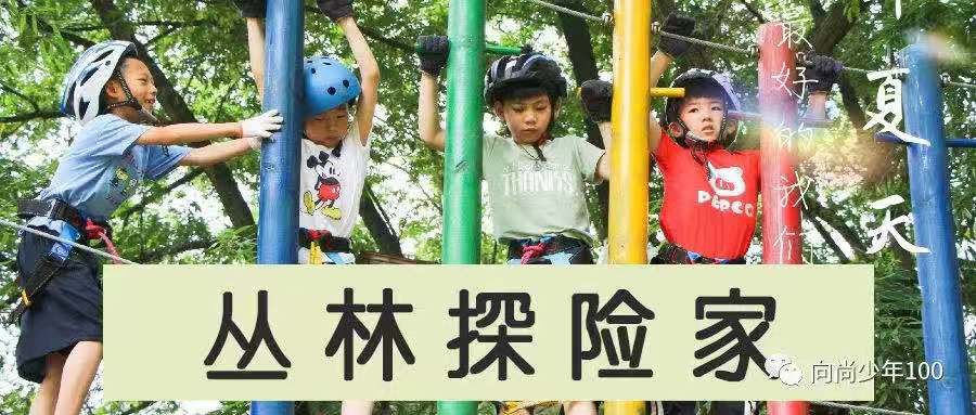 【夏令营】丛林探险家五日营